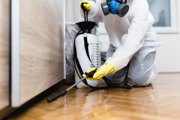 Best Best Pest Control Companies  in Oak Harbor, WA
