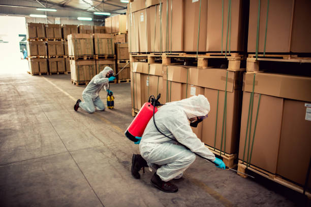 Best Ant Control Services  in Oak Harbor, WA