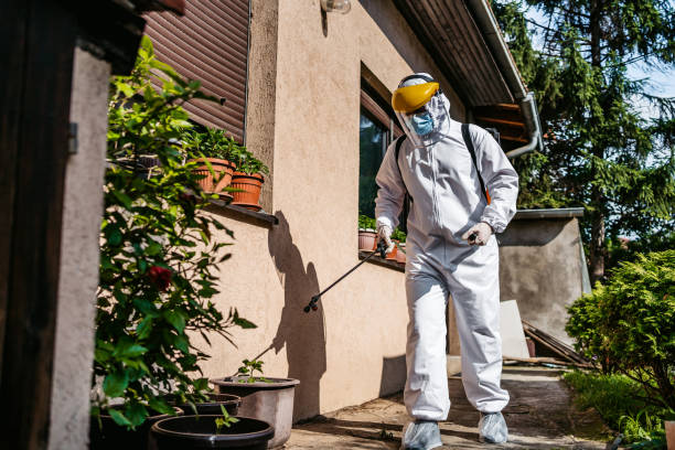 Best Wasp Removal Services  in Oak Harbor, WA