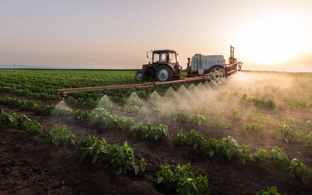 Best Pest Removal Services  in Oak Harbor, WA
