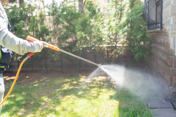 Best Residential Pest Control  in Oak Harbor, WA
