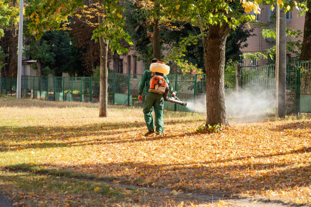 Trusted Oak Harbor, WA Pest Control Experts