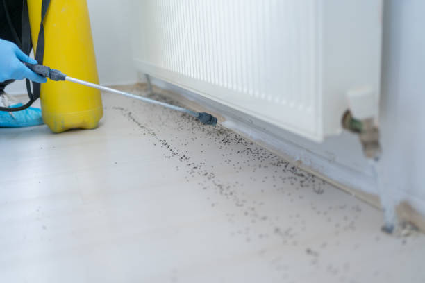 Pest Control for Restaurants in Oak Harbor, WA