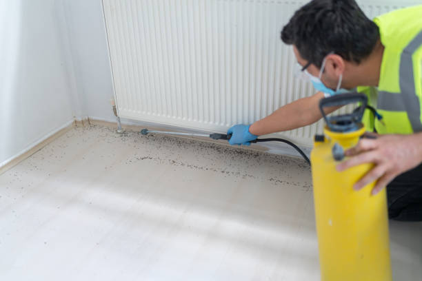 Best Ant Control Services  in Oak Harbor, WA